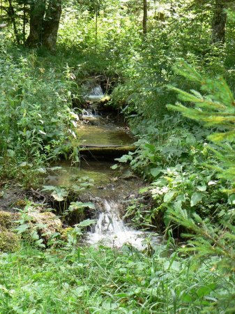 Vodeni tokovi_2008_004